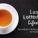 Sonderausstellung „Luxus, Lotterleben, Lifestyle. Tee verändert Nordeuropa”