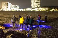 Der Strand leuchtet | GeoOstsee Travemünde – Eine Schwarzlichtexkursion am Strand.